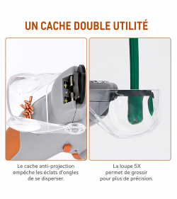 Coupez les griffes de votre animal sans stress ni erreur