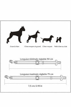 🐾 Harnais pour Chat avec Laisse – Sécurité et Confort pour les Balades
