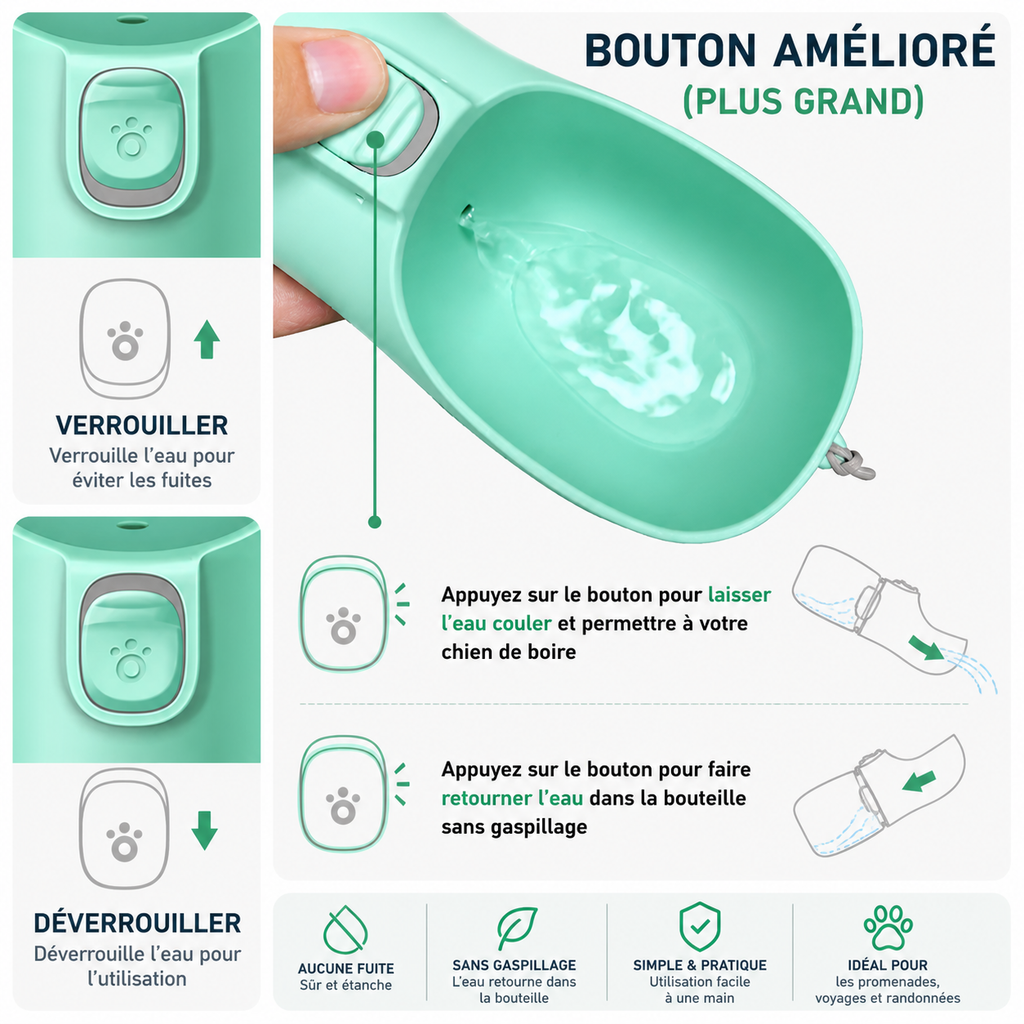 Gourde 2-en-1 pour Chien – Eau & Croquettes en Déplacement