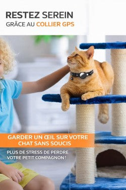 Ne perdez plus jamais votre chat grâce à ce collier intelligent