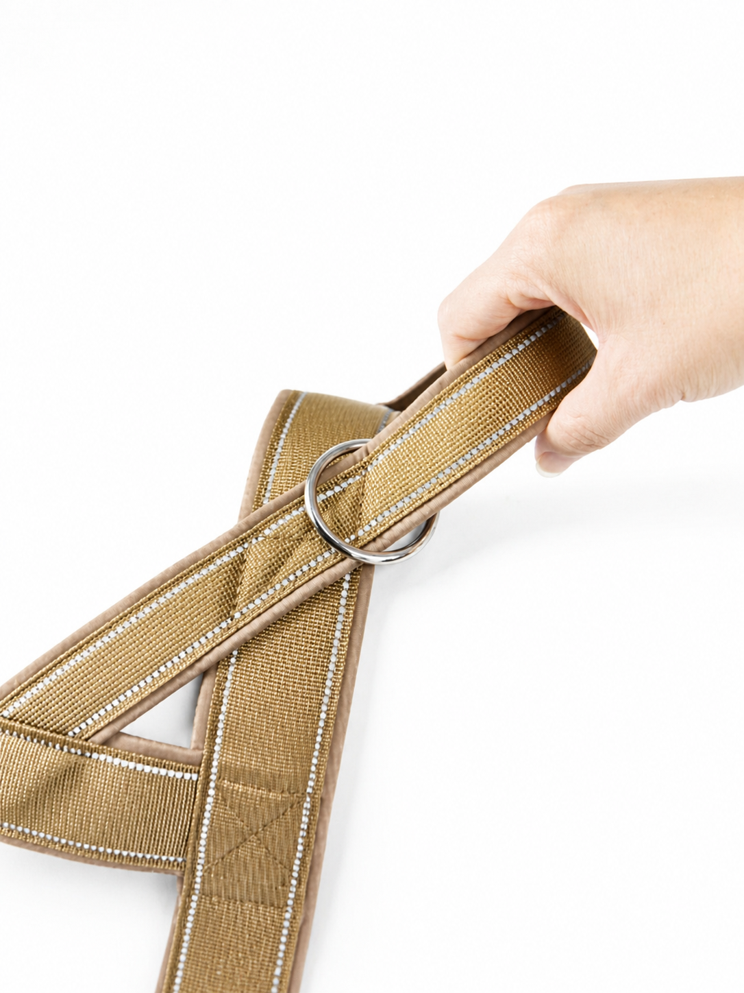 Harnais Anti-Traction pour Chien – Confort, Sécurité & Contrôle