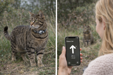 🐾 Harnais pour Chat avec Laisse – Sécurité et Confort pour les Balades