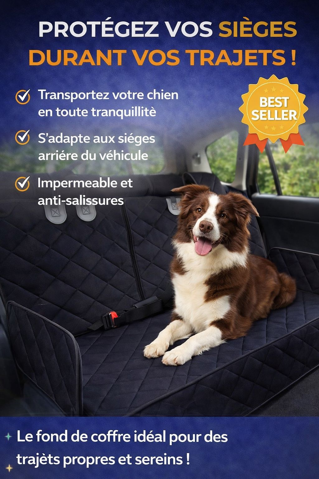 🔥 Fini les poils et les saletés dans votre voiture