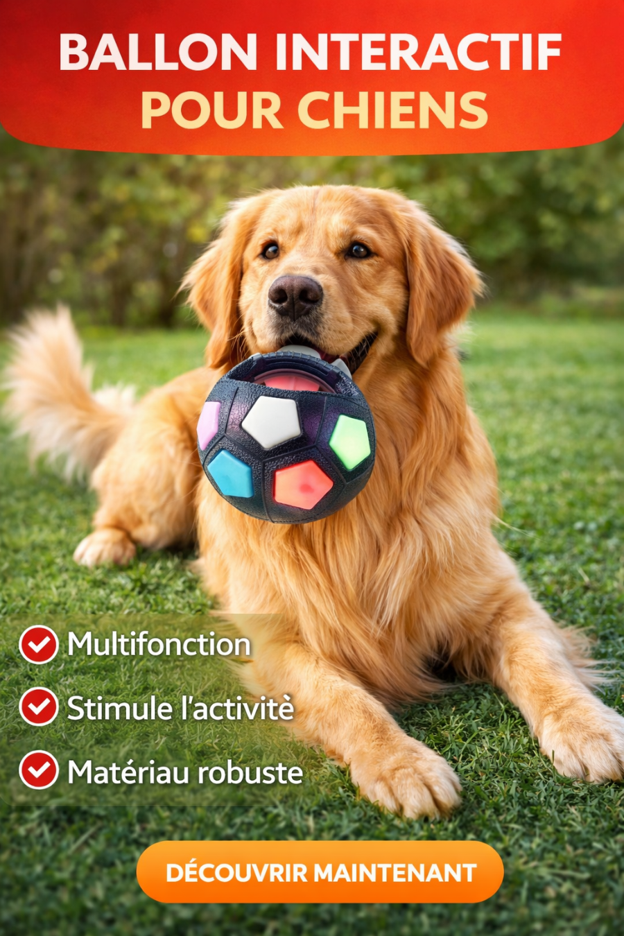 🔥 Fini l’ennui ! Le ballon interactif que tous les chiens adorent