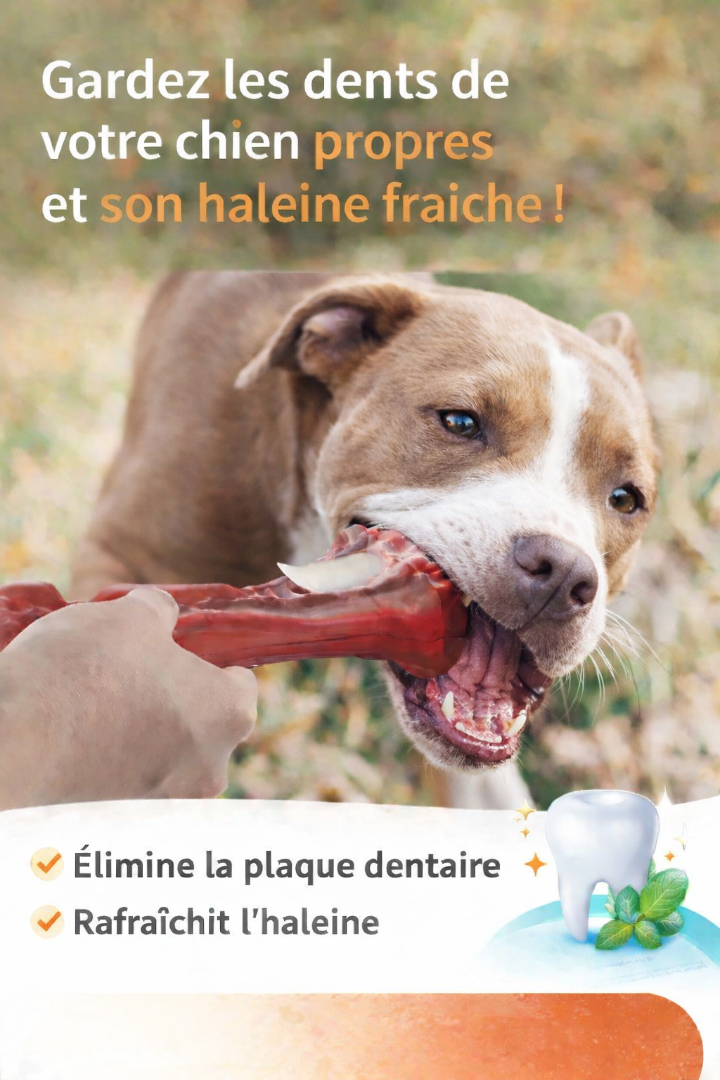 Os à Mâcher pour Chien – Soin Dentaire & Anti-Ennui