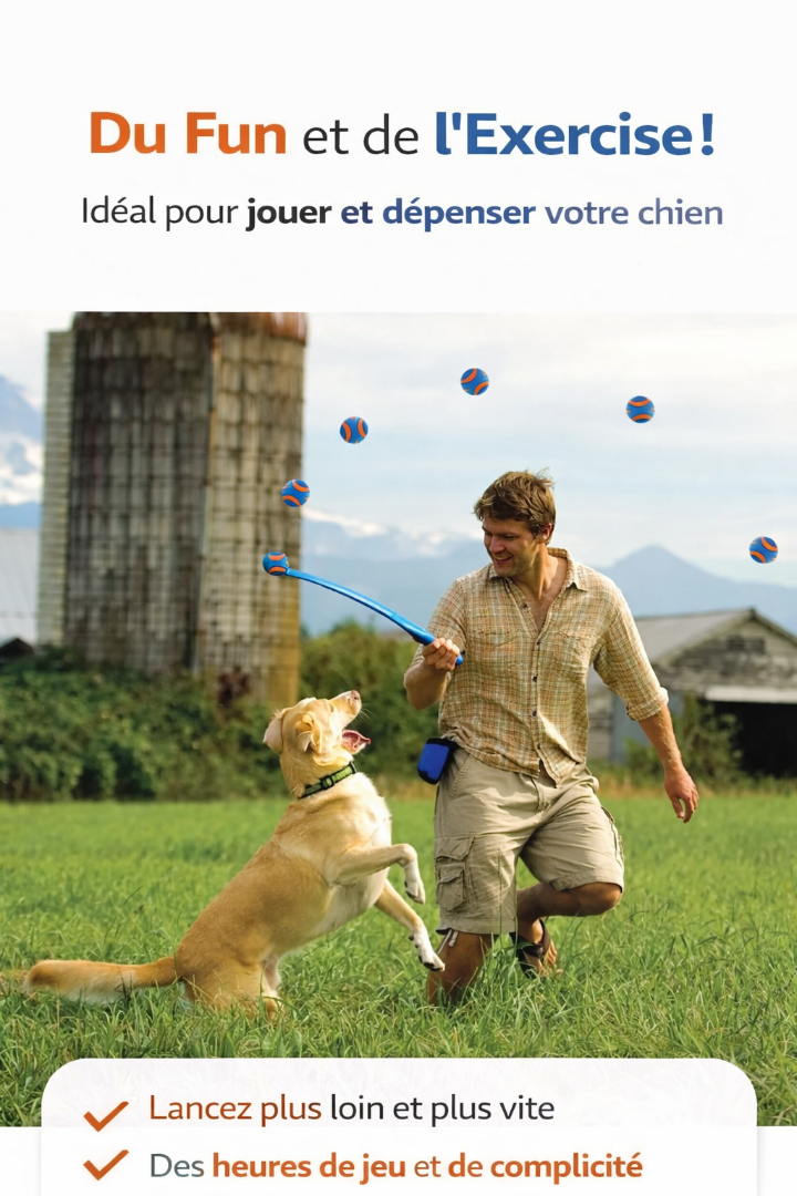 Balle Ultra Résistante pour Chien – Jouet Durable & Anti-Destruction