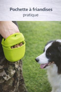 Pochette à Snacks pour Chien – Idéale pour les balades