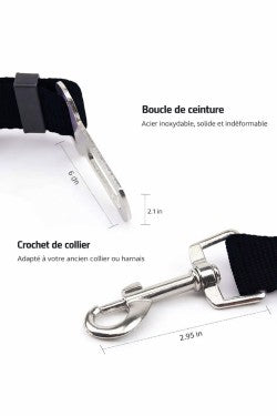Protégez votre chien pendant chaque trajet en voiture