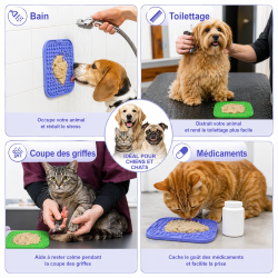 Fini les repas trop rapides – Offrez-lui une alimentation plus saine
