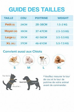 Protégez votre chien pendant chaque trajet en voiture