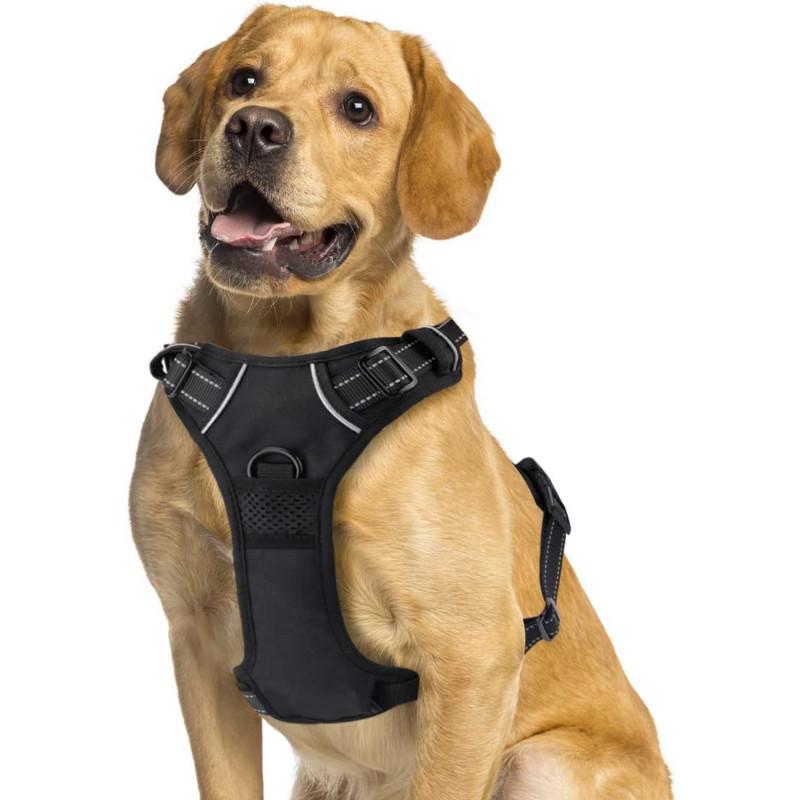 Magnifique harnais réfléchissant pour chien