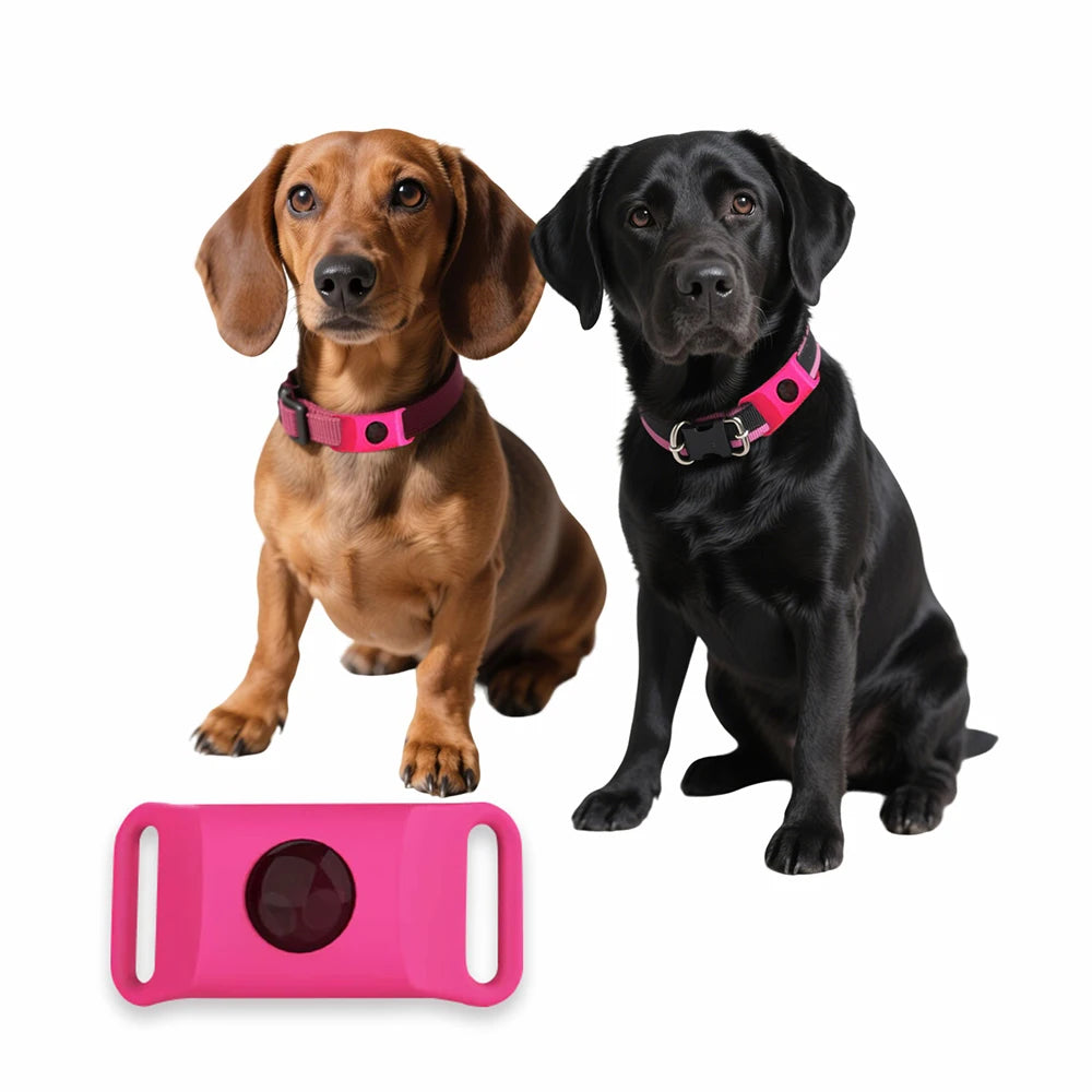 Pendentif Anti-Puces & Tiques Naturel – Huiles Essentielles pour Chiens & Chats