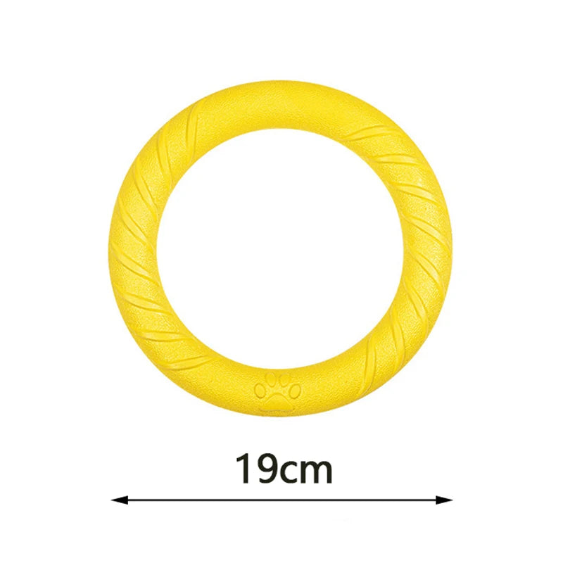 Anneau Frisbee pour Chien – Jouet Flottant Anti-Morsure & Entraînement