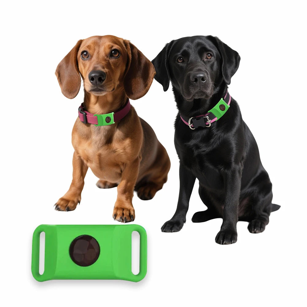 Pendentif Anti-Puces & Tiques Naturel – Huiles Essentielles pour Chiens & Chats