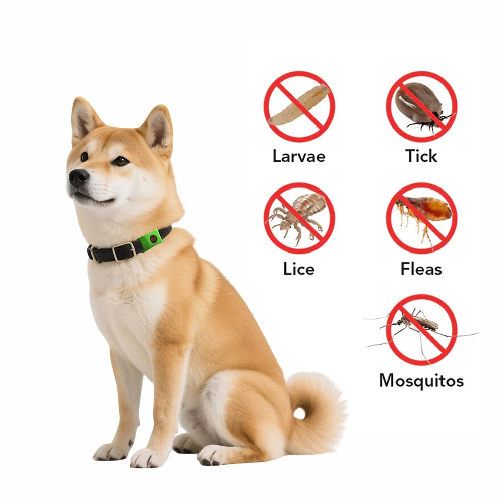 Pendentif Anti-Puces & Tiques Naturel – Huiles Essentielles pour Chiens & Chats