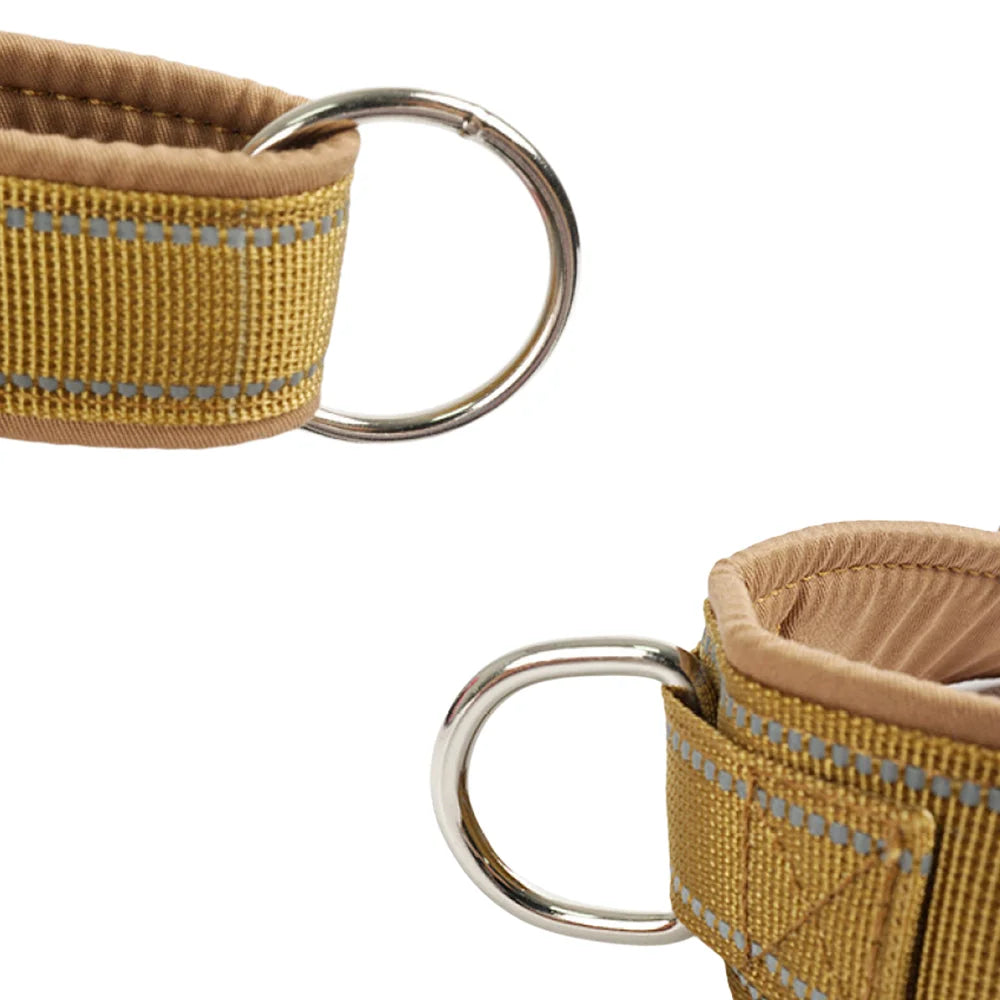 Harnais Anti-Traction pour Chien – Confort, Sécurité & Contrôle