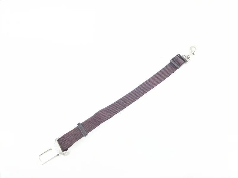 Protégez votre chien pendant chaque trajet en voiture