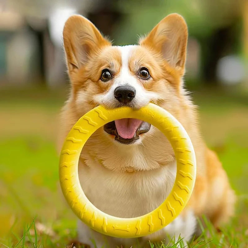 Anneau Frisbee pour Chien – Jouet Flottant Anti-Morsure & Entraînement