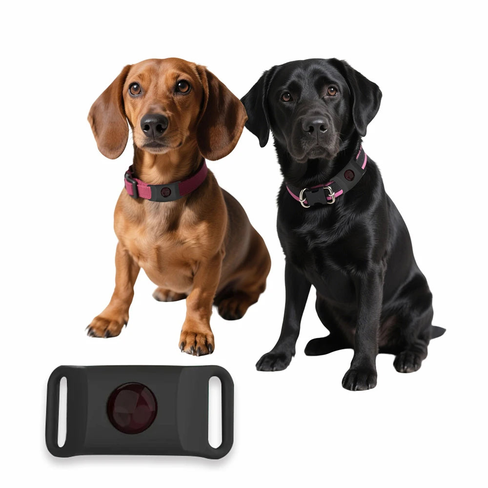 Pendentif Anti-Puces & Tiques Naturel – Huiles Essentielles pour Chiens & Chats