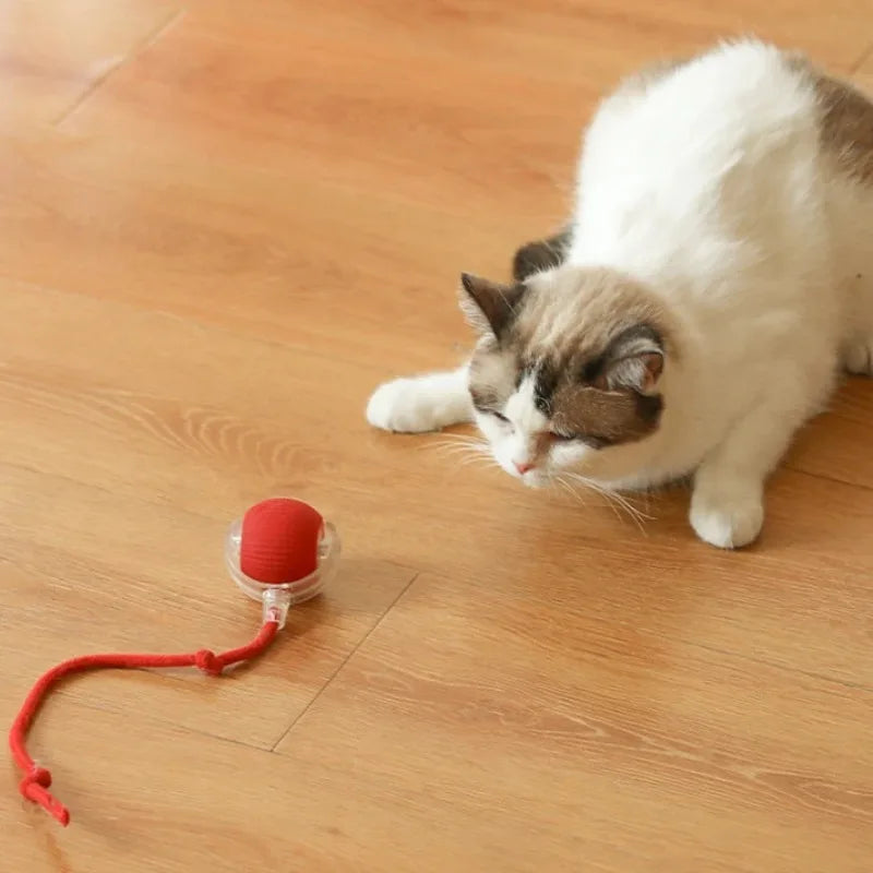 Balle Interactive Automatique pour Chat – Rechargeable USB-C, Évitement d'Obstacles, 3 Modes de Jeu
