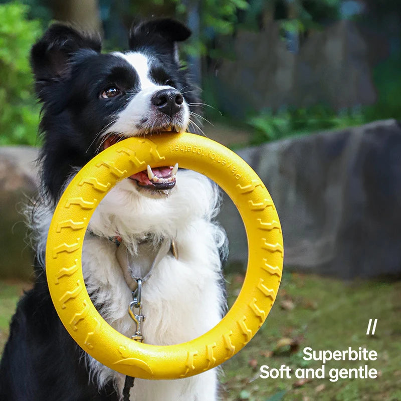 Anneau Frisbee pour Chien – Jouet Flottant Anti-Morsure & Entraînement