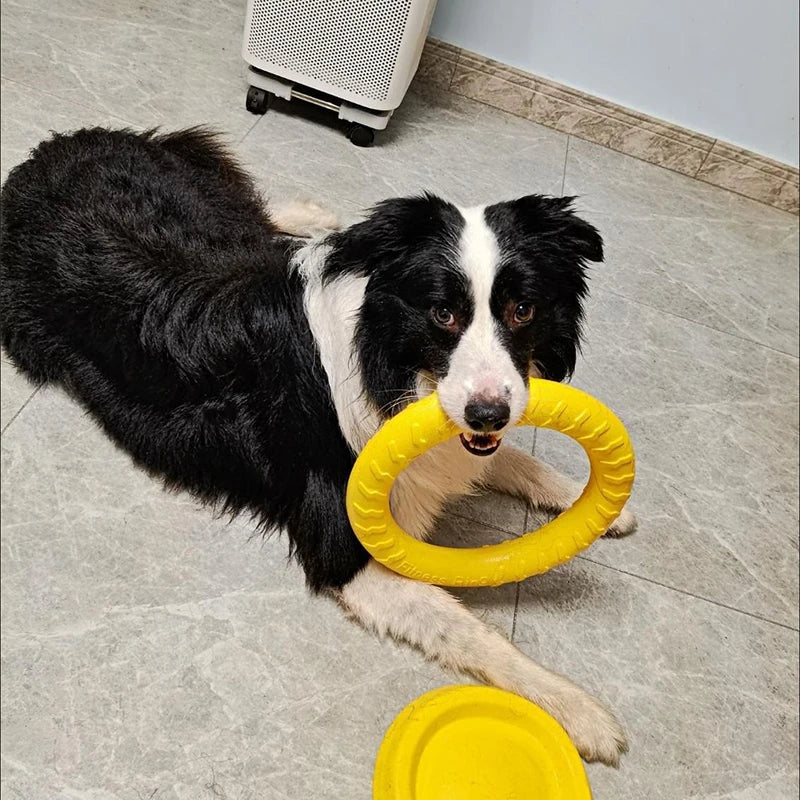 Anneau Frisbee pour Chien – Jouet Flottant Anti-Morsure & Entraînement