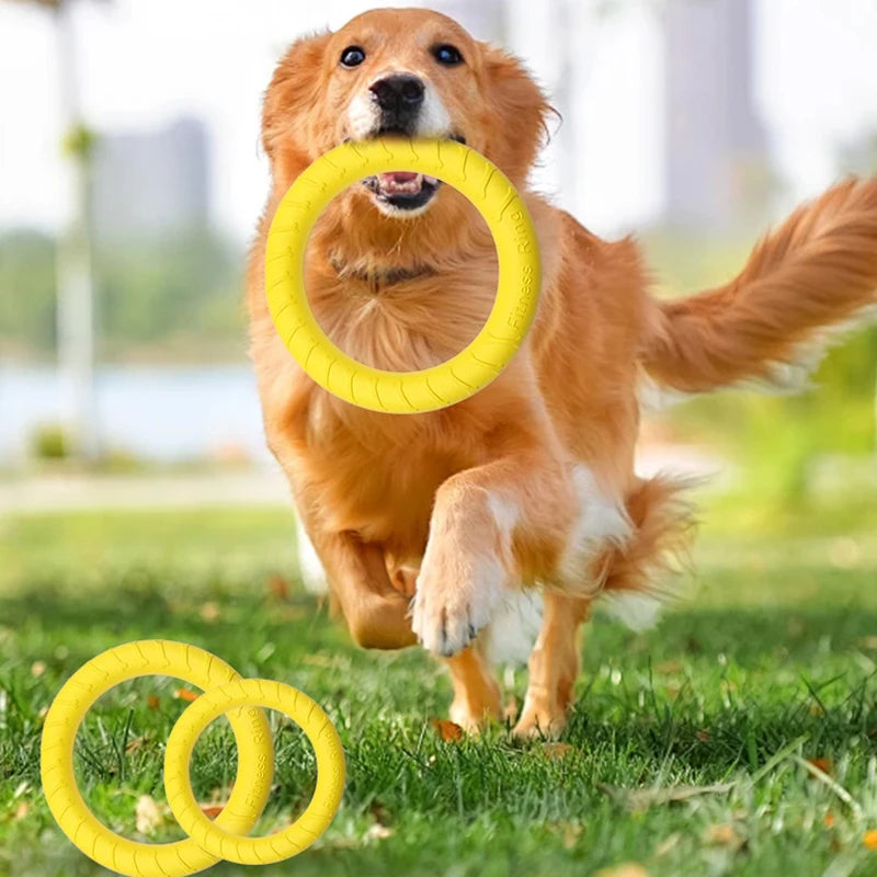 Anneau Frisbee pour Chien – Jouet Flottant Anti-Morsure & Entraînement