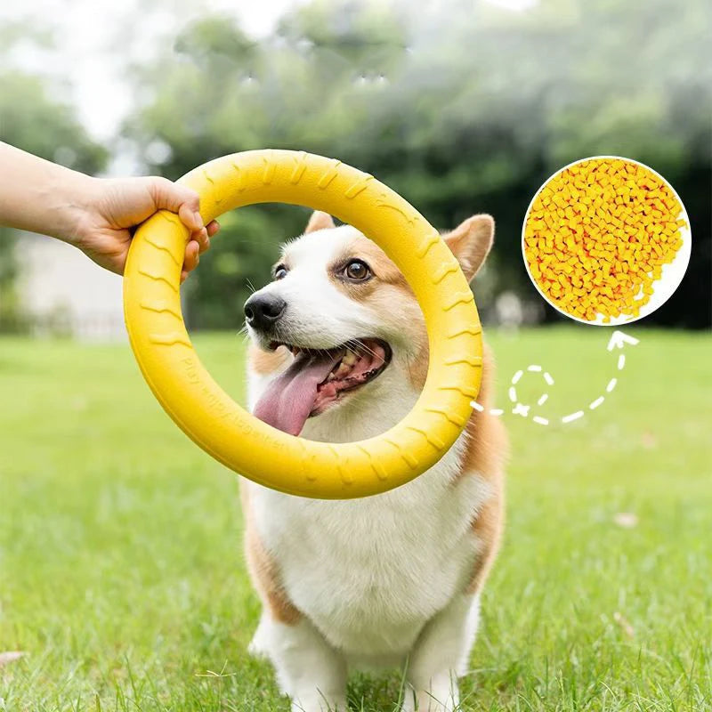 Anneau Frisbee pour Chien – Jouet Flottant Anti-Morsure & Entraînement
