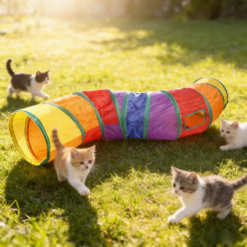 Tunnel de Jeu Arc-en-Ciel pour Chat – Tube Pliable avec Baguette Taquine