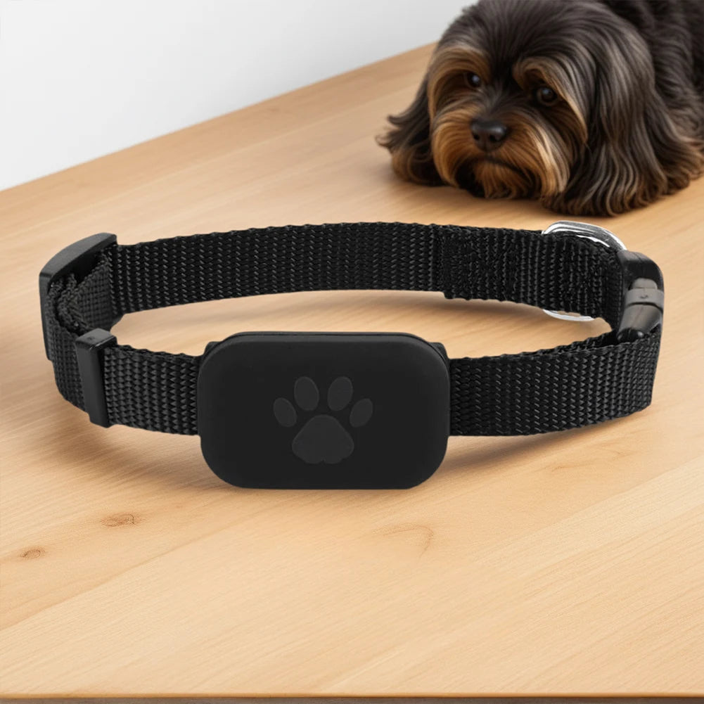 Collier GPS pour Chat – Localisation en Temps Réel & Anti-Perte