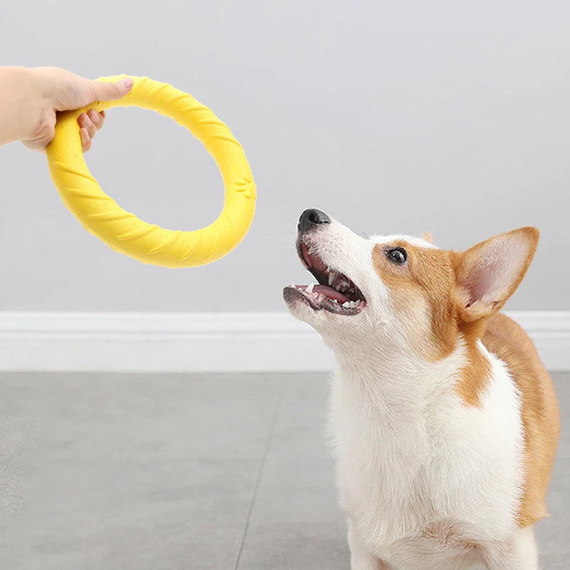 Anneau Frisbee pour Chien – Jouet Flottant Anti-Morsure & Entraînement