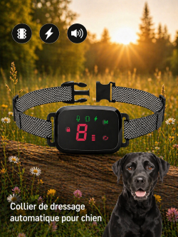 Collier de Dressage pour Chien – Éducation Facile & Contrôle Intelligent