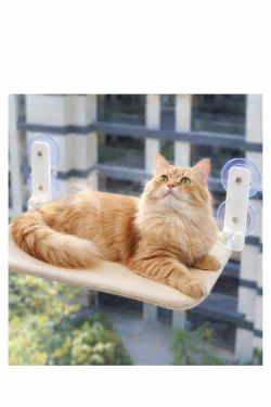 Offrez à votre chat son coin préféré au soleil