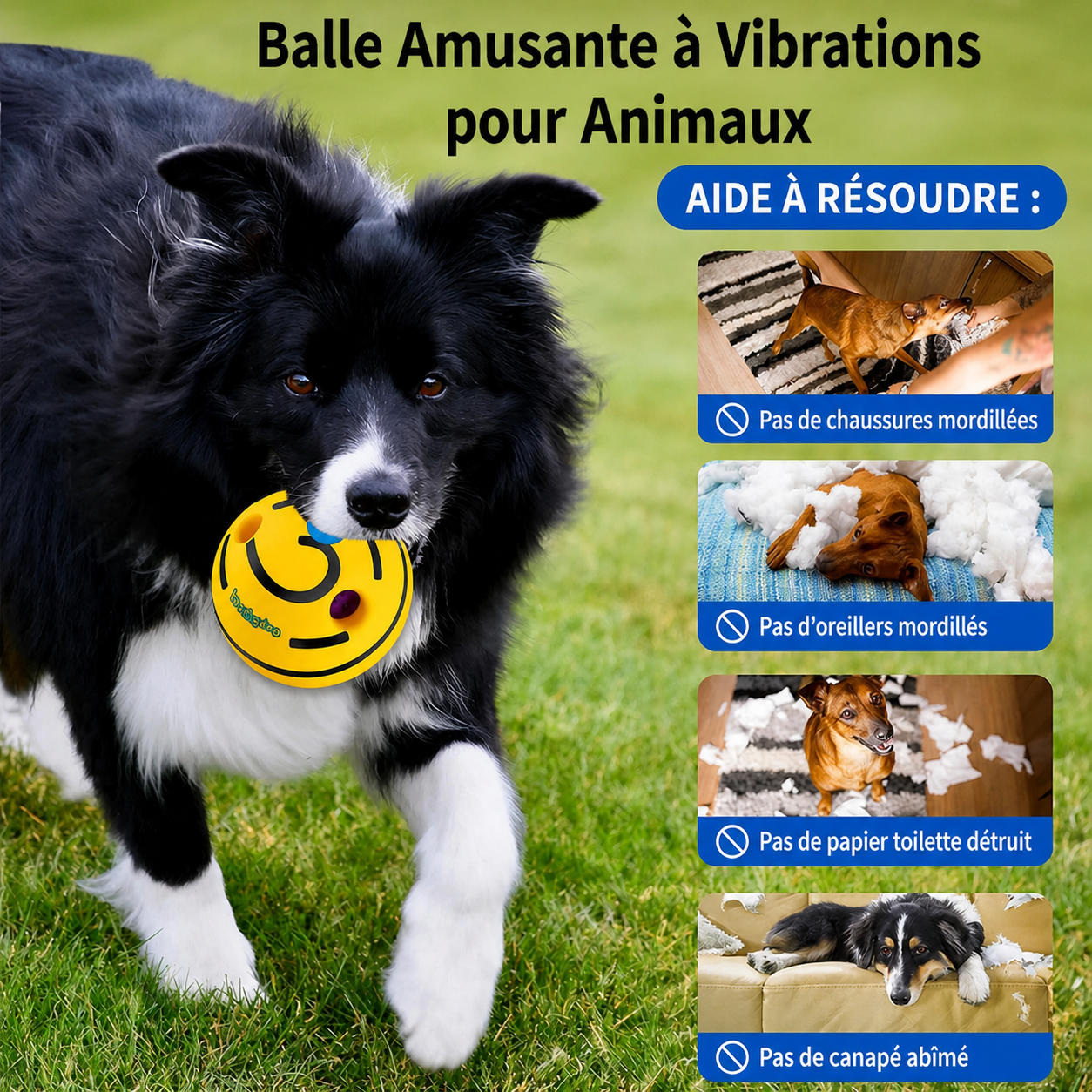 Jouet Distributeur de Friandises pour Chien – Anti-Ennui & Stimulation Intelligente