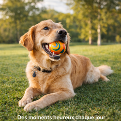 Jouet Distributeur de Friandises pour Chien – Anti-Ennui & Stimulation Intelligente