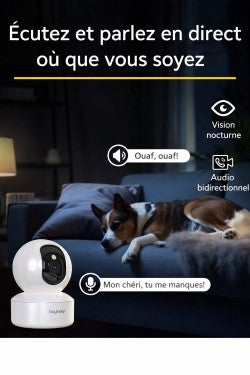 ❤️ Vous manquez à votre animal ? Gardez un œil sur lui à distance