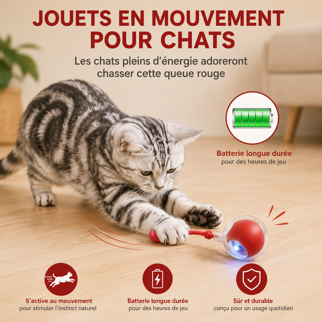 Balle Interactive Automatique pour Chat – Rechargeable USB-C, Évitement d'Obstacles, 3 Modes de Jeu