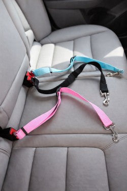 Protégez votre chien pendant chaque trajet en voiture