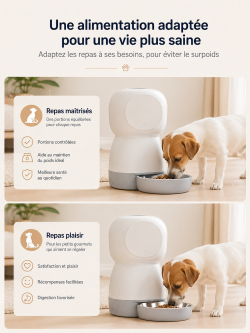 👉 Distributeur Automatique Connecté pour Chat – Contrôle à Distance via Application